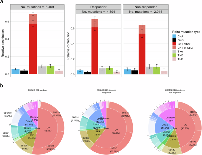 Fig. 3: Patients mutation profile and signature.