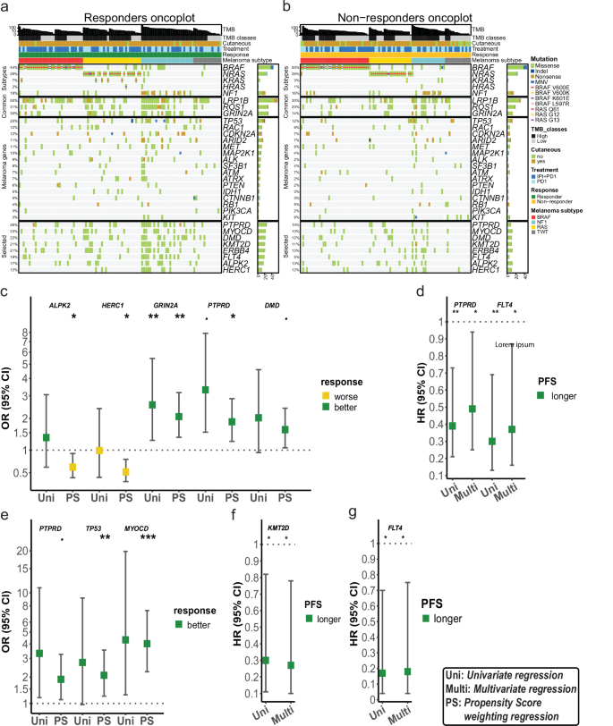 Fig. 4: Mutational profiles and associations between single genes, response and PFS.