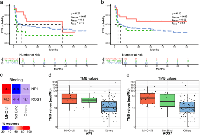 Fig. 6: Response and PFS for neoantigens from NF1 and ROS1.