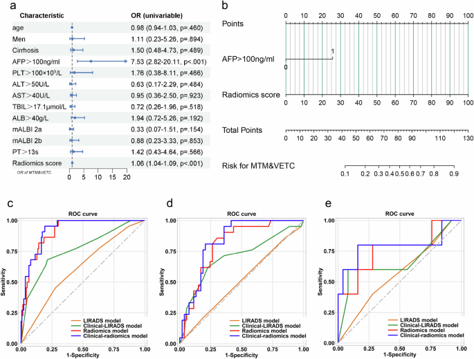 Fig. 3: Construction and performance of the models for predicting the macrotrabecular-massive (MTM) subtype and vessels that encapsulate tumour clusters (VETC) pattern.