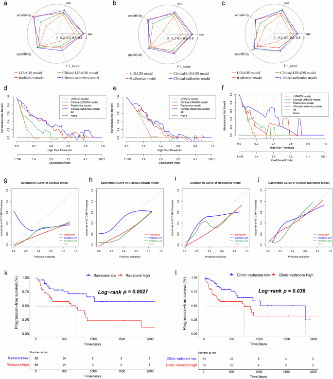 Fig. 4: Assessment of the comprehensive evaluation and predictive prognostic ability of the models.