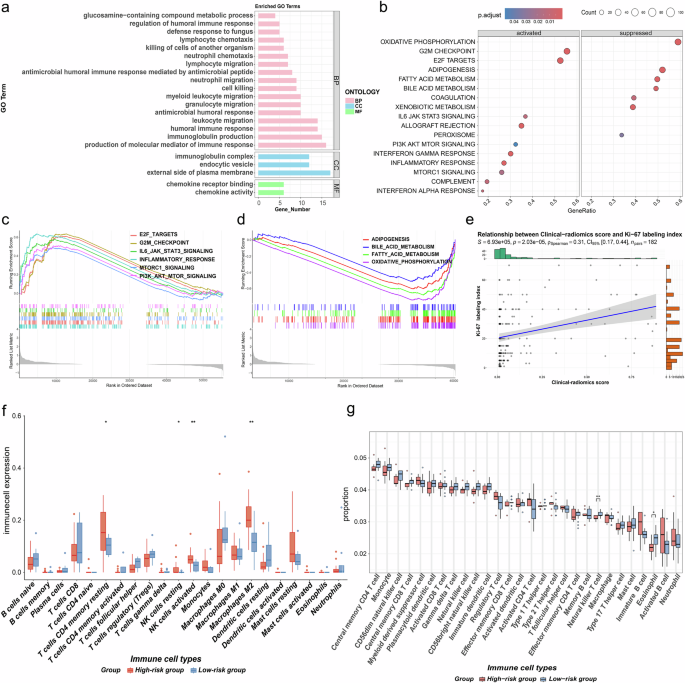 Fig. 5: Radiogenomics analysis of the different biological characteristics between the high- and low-risk groups via the clinical–radiomics model.