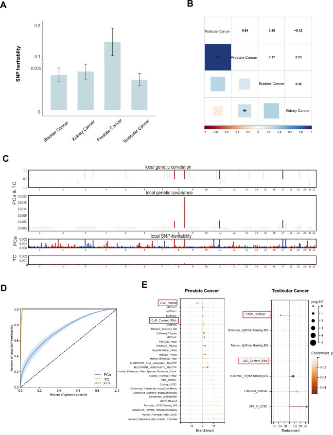 Fig. 3: Genetic comorbidity between urological cancers.
