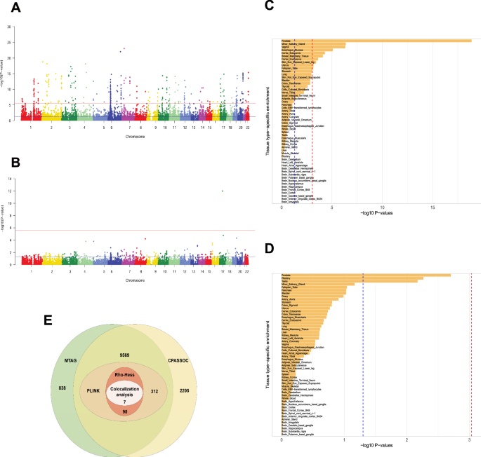 Fig. 4: Gene enrichment and tissue specificity in prostate (PCa) and testicular cancer (TC).