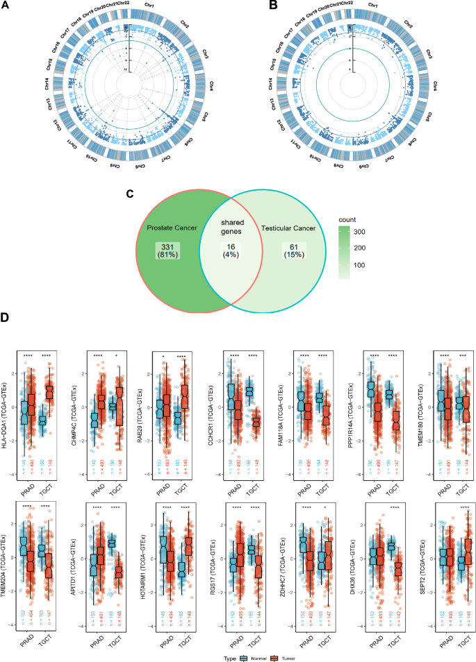 Fig. 5: Shared functional genes identified by summary-database Mendelian randomization (SMR) analysis in Prostate Cancer (PCa) and Testicular Cancer (TC).
