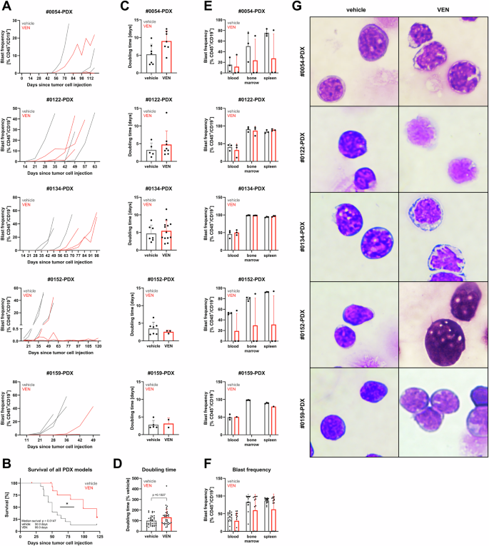 Fig. 3: Induction of VEN resistance in PDX models.
