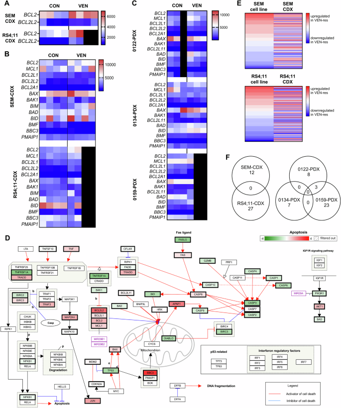 Fig. 4: Gene expression profiles in CDX and PDX models.