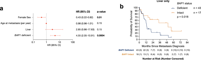 Fig. 2: The effect of BAP1 deficiency on survival outcomes in patients with metastatic UM.