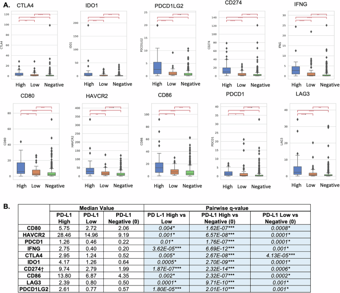 Fig. 3: Expression of immune-related gene and immunologic cell populations in TIME identified by RNA sequencing in PDL-1 High, Low, or Negative Groups, RNA deconvolution by QuanTIseq.