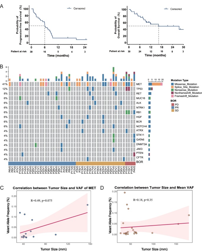 Fig. 1: Survival outcomes, genomic landscape, and correlation analysis of clinical parameters.