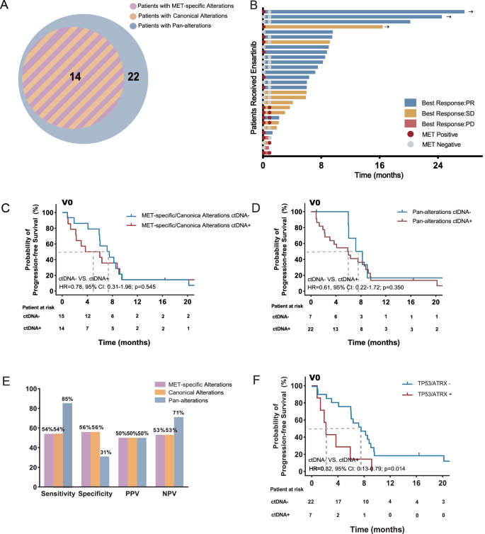 Fig. 2: Association of baseline (V0) ctDNA status with treatment outcomes.