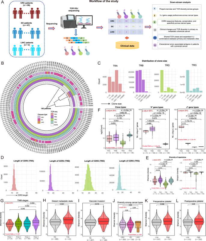 Fig. 1: Analysis of T-cell receptor (TCR) repertoire diversity and clinical associations across cancer types and patient subgroups.