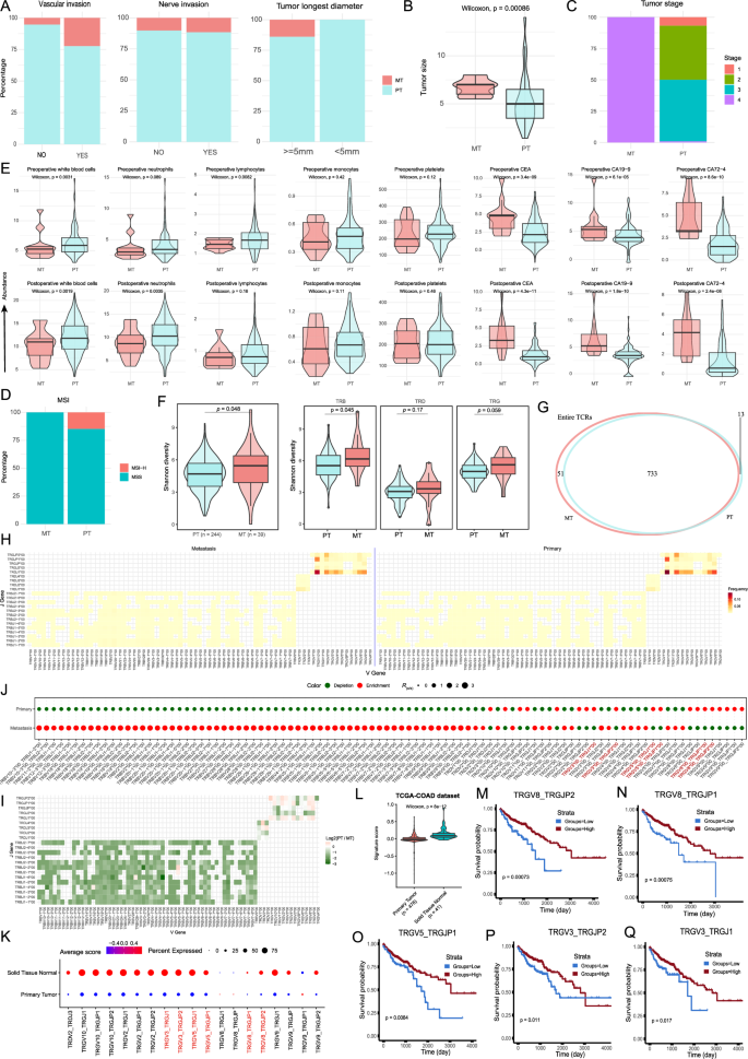 Fig. 4: Characterization of clinical and immunogenetic features in metastatic and primary colorectal cancer (CRC).