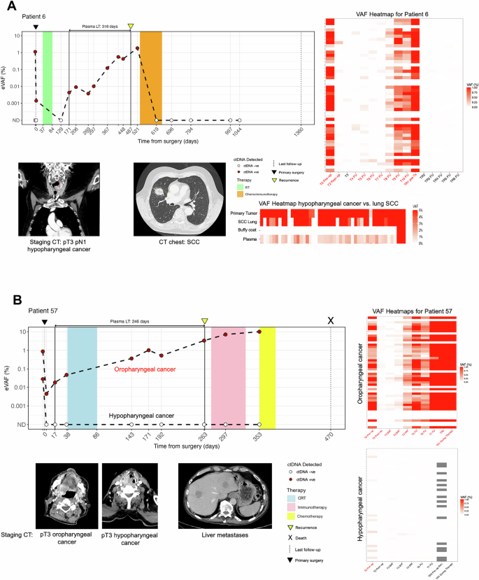 Fig. 4: Longitudinal ctDNA profiles of two MRD-positive patients.