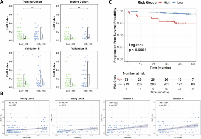 Fig. 4: Biological and prognostic validation of RENALNet-derived risk scores.