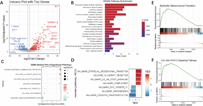 Fig. 5: Transcriptomic correlates of RENALNet-derived risk in clear cell renal cell carcinoma.