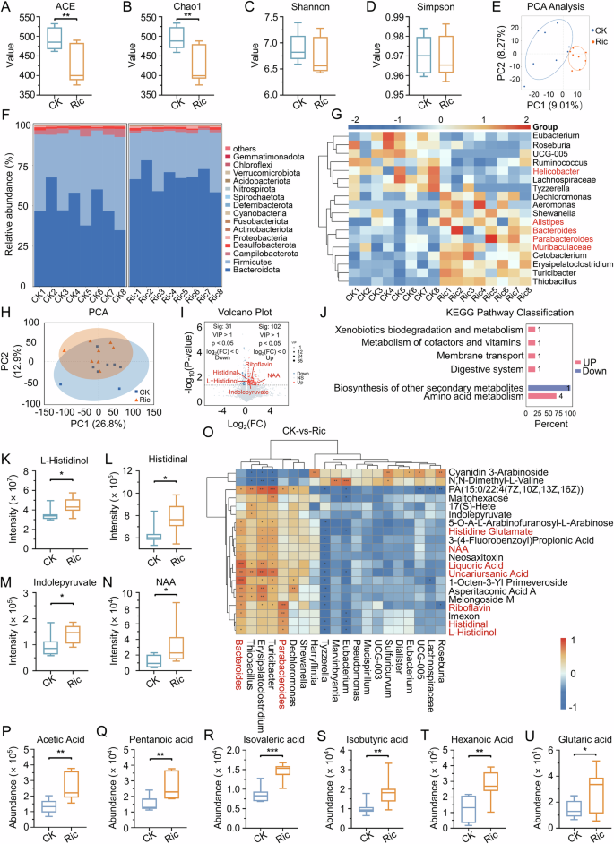 Fig. 1: Effect of riclin on gut microbiota structure and metabolic profiles in mice.