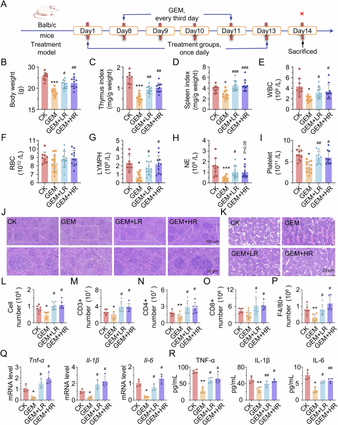 Fig. 5: Riclin mitigates GEM-induced immunosuppression.