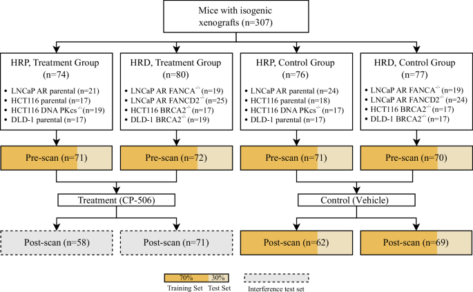 Fig. 1: Study design and data distribution.