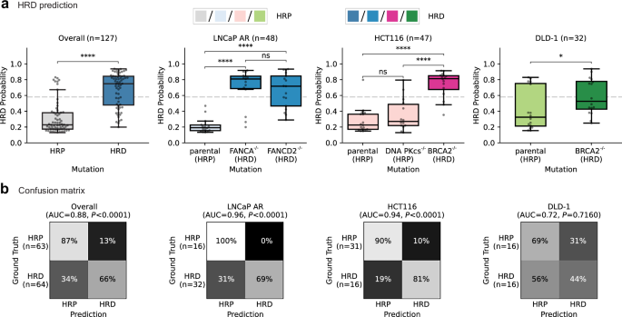 Fig. 4: Performance of the foundation model for HRD classification across tumor types on the test set (40 kVp CT).