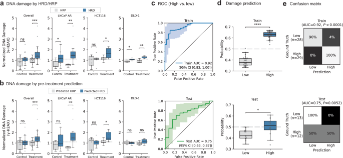 Fig. 5: Performance of the foundation model for predicting DNA damage.