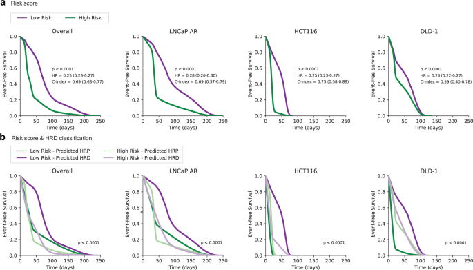 Fig. 6: Kaplan–Meier survival curves of event-free survival (EFS) stratified by risk scores after CP-506 treatment on the test set (n = 82).