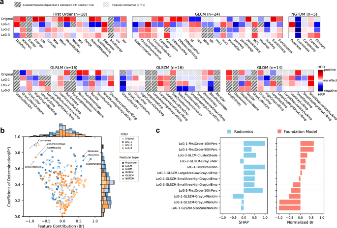 Fig. 7: Interpretability of radiomics features learned by the foundation model.
