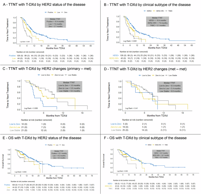 Fig. 1: Real-world activity of T-DXd in patients with metastatic breast cancer (n = 191).