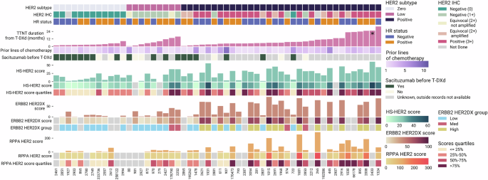 Fig. 2: Association between time to next treatment (TTNT) for patients treated with trastuzumab deruxtecan (T-DXd) and tissue-based HER2 quantification using HS-HER2, HER2DX ERBB2, and RPPA HER2.