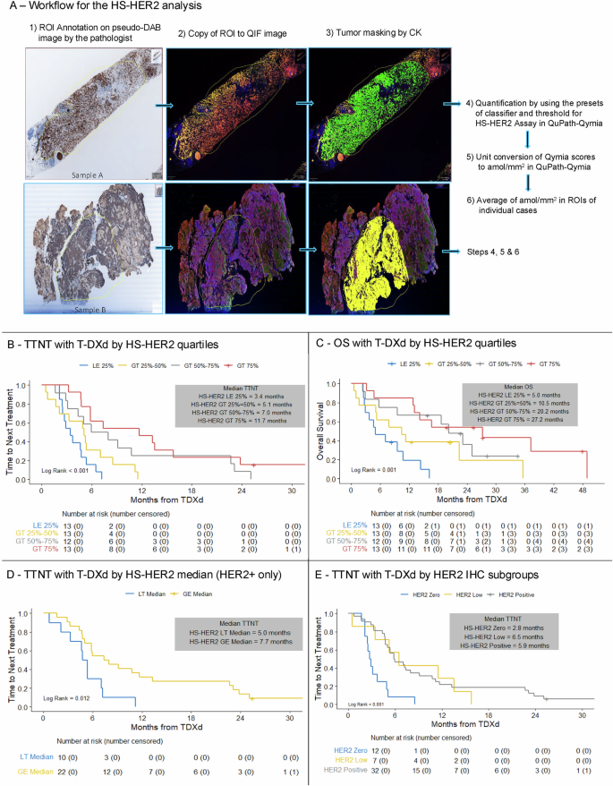 Fig. 3: Outcomes with T-DXd according to pre-treatment HS-HER2 status.