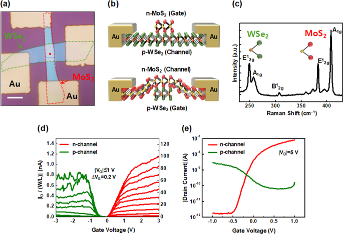Van Der Waals Junction Field Effect Transistors With Both N And P Channel Transition Metal Dichalcogenides Npj 2d Materials And Applications