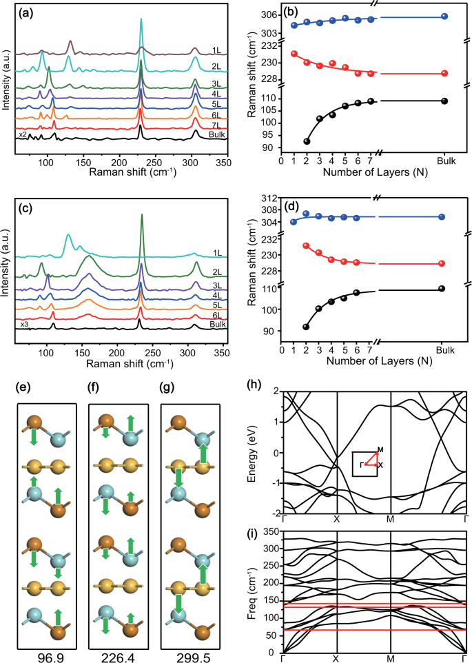 Raman detection of hidden phonons assisted by atomic point defects in a two-dimensional  semimetal | npj 2D Materials and Applications
