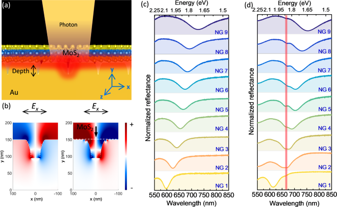 Quantifying Photoinduced Carriers Transport In Exciton Polariton Coupling Of Mos 2 Monolayers Npj 2d Materials And Applications