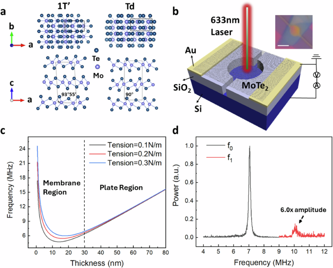 Revealing stacking order transition via nanomechanical resonator