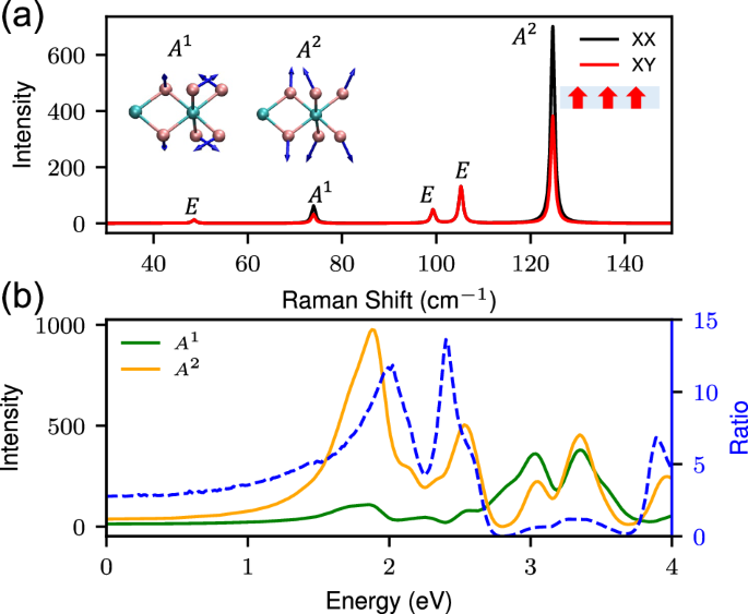 First-principles study of the magneto-Raman effect in van der Waals ...