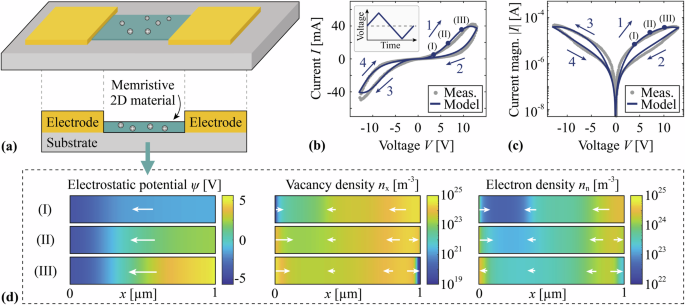 High-throughput numerical modeling of the tunable synaptic behavior in 2D MoS2 memristive devices