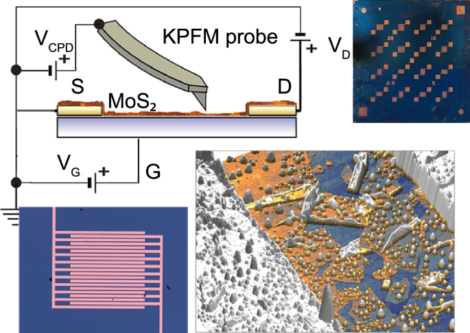 Imaging junctions in two-dimensional semiconductor nanosheet networks ...