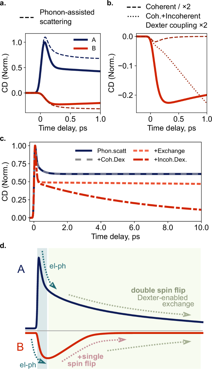 Fig. 6: Contribution of select processes to the CD signal at 77 K.