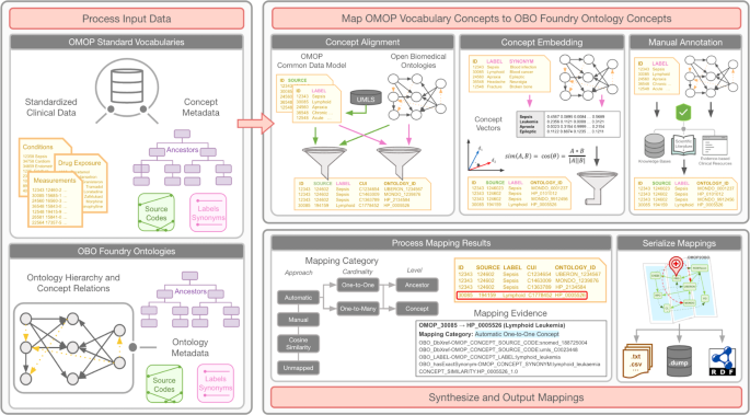 Fig. 1: Overview of the OMOP2OBO algorithm.