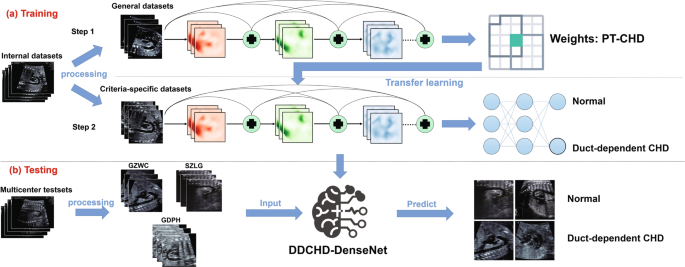 Fig. 6: The development and evaluation process of the DDCHD-DenseNet.