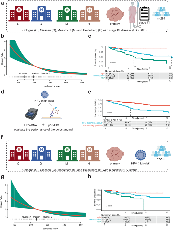 Fig. 4: Prognostic significance of the predicted HPV association for stage I/II patients compared to gold-standard.