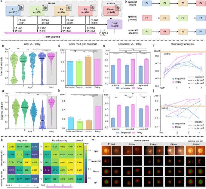 Fig. 2: Relay Learning segments retina fundus structures.