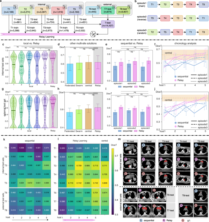 Fig. 3: Relay Learning segments mediastinum tumors.
