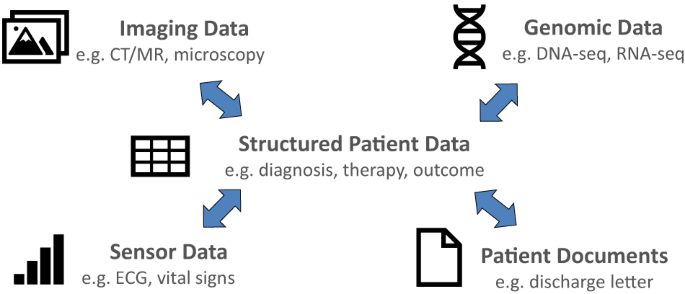 Fig. 1: Categories of patient data.