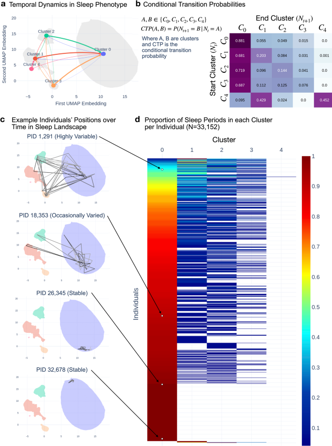 Fig. 2: Temporal dynamics in sleep phenotypes.