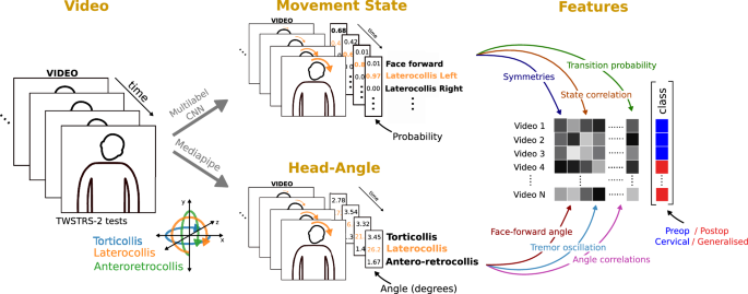 Fig. 1: Measurement of static and kinematic features using computer vision workflow.