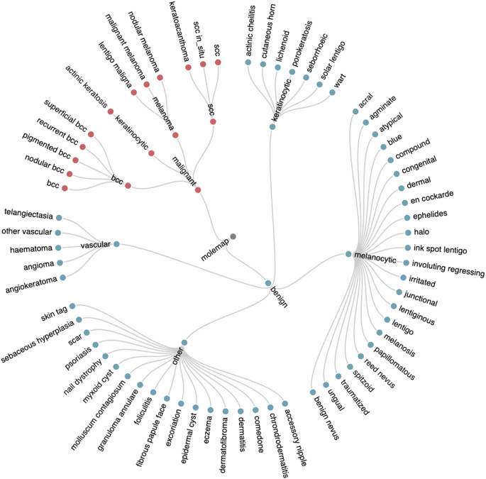 Fig. 13: The hierarchical taxonomy of the Molemap dataset, comprising 65 skin disease categories organized across three levels.