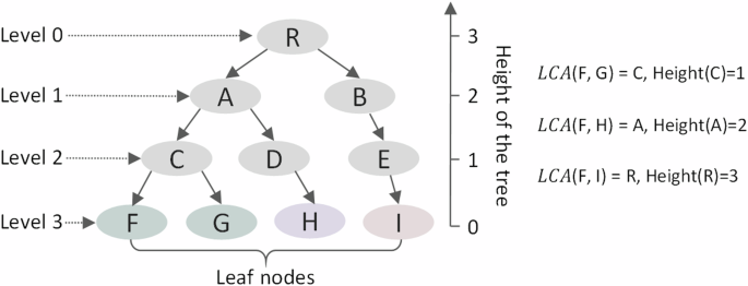 Fig. 1: An example hierarchy with three hierarchical levels and the definition of LCA between two leaf class nodes.