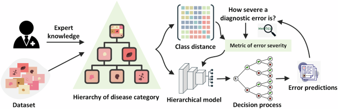 Fig. 2: Illustration of the proposed framework for building a hierarchical model using class hierarchy.
