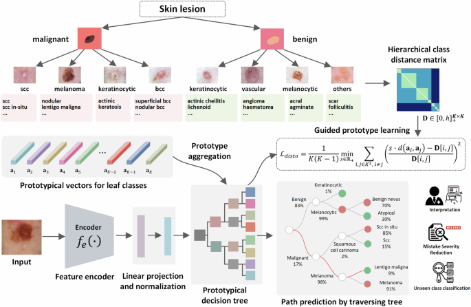 Fig. 3: The framework of the proposed hierarchical skin image classification method.